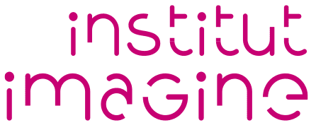 INSTITUE IMAGINE